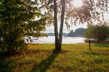 Fototapeta premium Sunburst through a tree near a tranquil lake