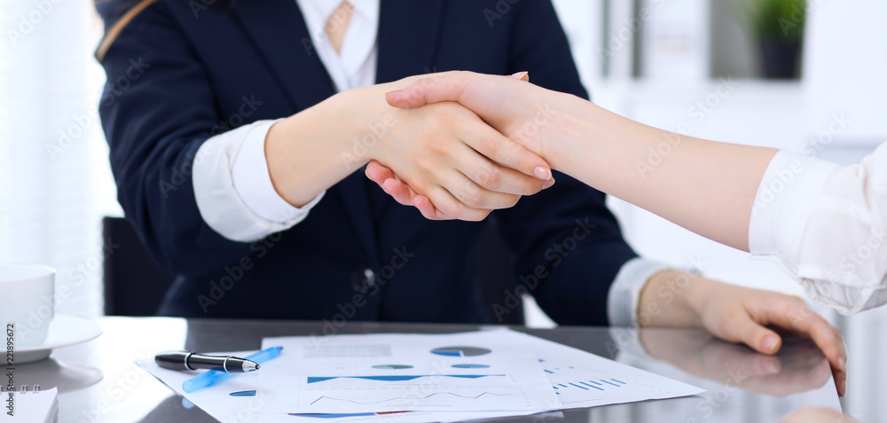 Wall mural group of business people shaking hands while finishing up a meeting. handshaking, agreement or succe