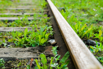 An abandoned railway overgrown with grass.