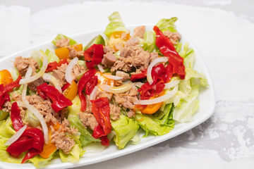 tuna salad on white dish