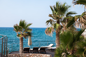 Empty terrace with sunbeds among palm tress in the wind with an ocean view.