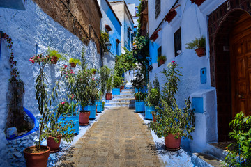 Fototapeta na wymiar Beautiful View of Street in Chefchaouen City, Morocco