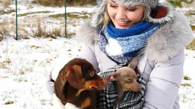 Young woman playing with her dogs, pinscher ratter prazsky krysarik and dachshund, outdoor during winter weather.