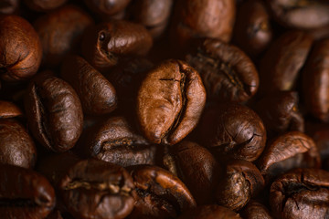 The texture of roasted coffee beans. Macro image