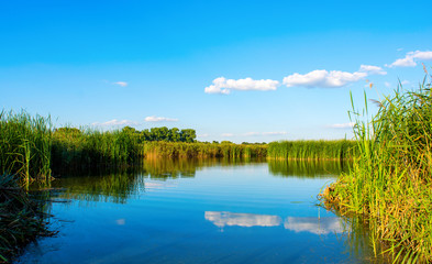 Photo of nature around beautiful blue lake, fishing place