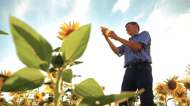 old man farmer holding in hand a plastic bottle sunflower oil stands in the field. slow motion lifestyle video. sunflower oil production and research agriculture farming. large sunflowers against the