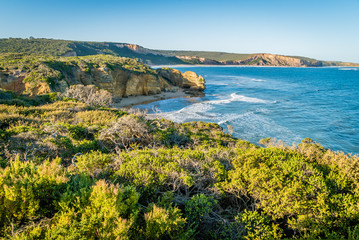 Attis point beach and view of the ocean during a road trip on the Great Ocean Road