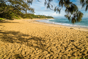 Shelly beach in Nambucca Heads in Australia after sunrise