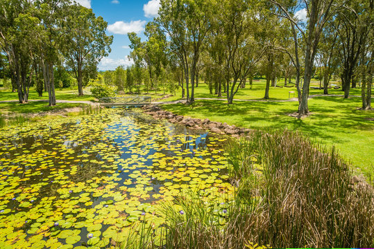 River and wetlands in Tyto in the summer, Queensland