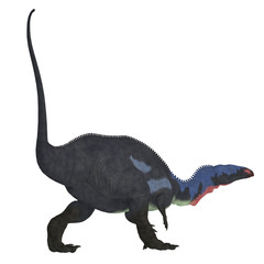 Camptosaurus Dinosaur Tail