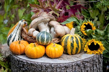 Abstract background of autumn leaves. Autumn background. 