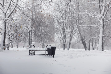 Snow-covered winter park and benches. Park and pier for feeding 