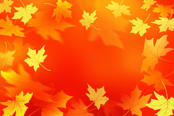 Fototapeta premium Autumn abstract background. Fall maple leaves. Flying foliage 