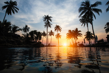 Naklejka na ściany i meble Amazing sunset on coast sea in subtropics with palm silhouettes.