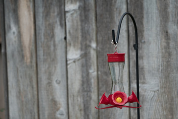 Drinking bowl for birds near fence