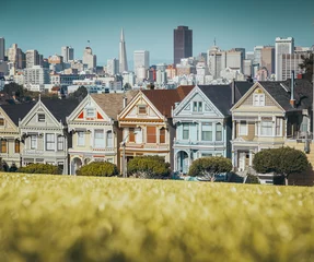 Distelfalter am Alamo Square, San Francisco, Kalifornien, USA © JFL Photography