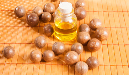 Macadamia nuts on wooden table (Macadamia integrifolia)