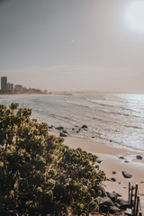coastline view of the gold coast