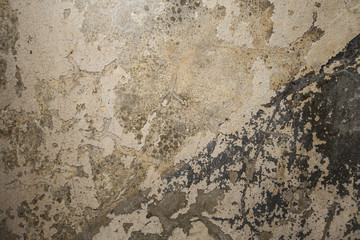texture of old wall