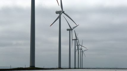 Turbine eoliche per energia ecologica