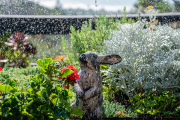 Flower Garden Sprinkler Rain