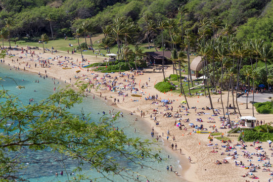 Hanauma Bay Nature Preserve