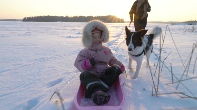 Winter fun snow vacation. Family with little girl and dog sledding on the ice of the frozen sea, lake in sunny day in Scandinavia. Slow motion