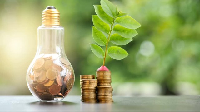 Energy saving. stacks of coins growing in light bulb and tree growing on stacks of coins and Motion tree nature background. Saving, Natural energy and financial concept. video 4K Slow motion..