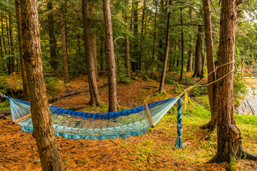 A colorful rope hammock in autumn woods near a  river, cool weather, foliage in fall colors,...