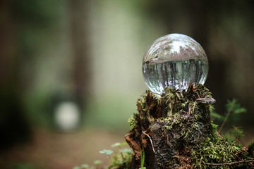 Crystal ball. A magical accessory in the woods on the stump. Rit