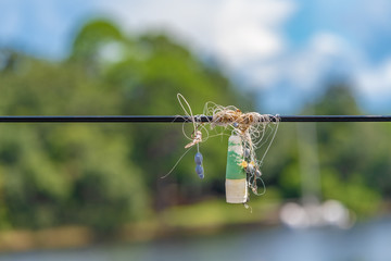 fishing line, weights, float/bobber hooks tangled in power line