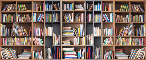 Wide book shelves with blurry effect on book cover - obrazy, fototapety, plakaty