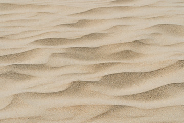 Fototapeta na wymiar Sand texture pastel colours coast beach
