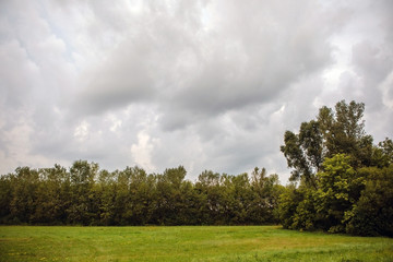 clouds and trees