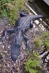 Travel to Everglades National Park