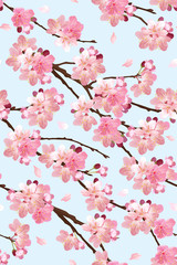 Seamless pattern of sakura flowers background template. Vector set of blooming floral for holiday invitations, greeting card and fashion design.