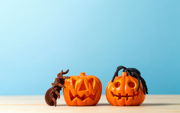 Halloween pumpkins with spider on a blue background