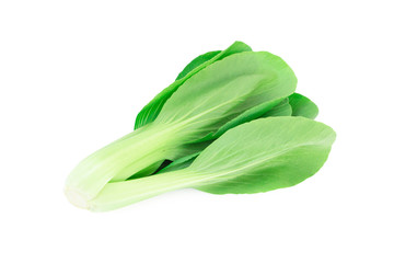 Ciose up bok choy vegetable isolated on the white background.