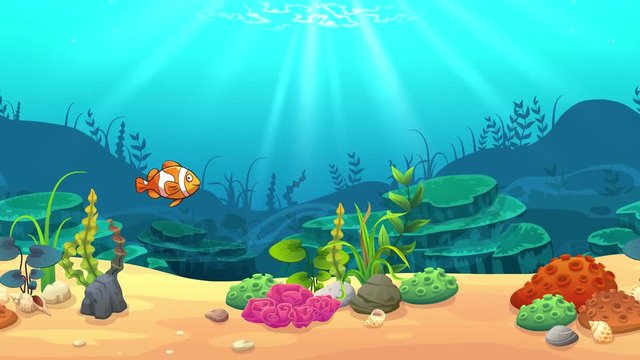Clownfish in underwater world, footage and animation.