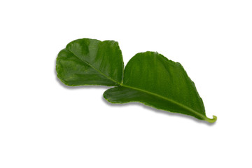 Kaffir lime leaf on white background isolated with clipping Thai herb