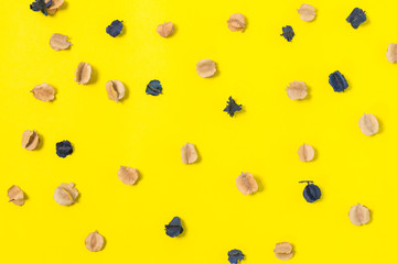dried flowers on yellow background