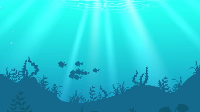 Aquatic animals in underwater world, footage and animation.