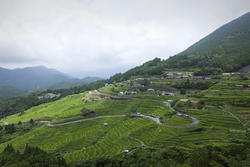 丸山千枚田