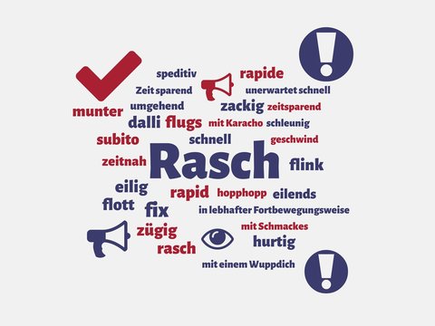 Das Wort - Rasch - abgebildet in einer Wortwolke mit zusammenh&auml;ngenden W&ouml;rtern