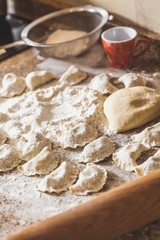 few generated raw dumplings lie on table