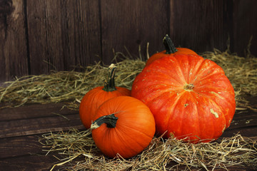duża pomarańczowa dynia w stodole © katherine_gee