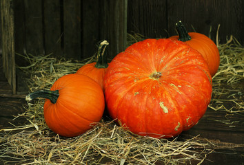 halloweenowe dynie w drewnianej starej skrzyni