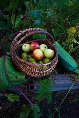 a wicker basket with apples