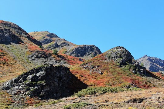 alpages en automne
