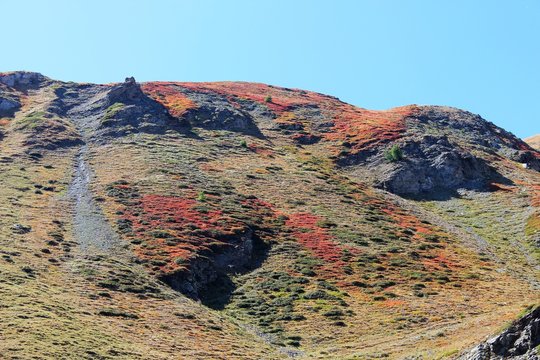alpages en automne